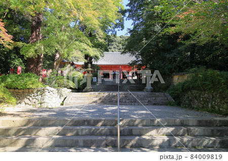 観心寺 金堂 観心寺 金堂 84009819