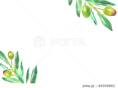水彩で描いたオリーブの背景イラストのイラスト素材