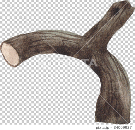 tree branch watercolor 84009927