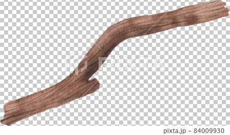 tree branch watercolor 84009930
