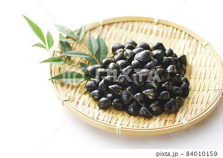 しじみ17 84010159