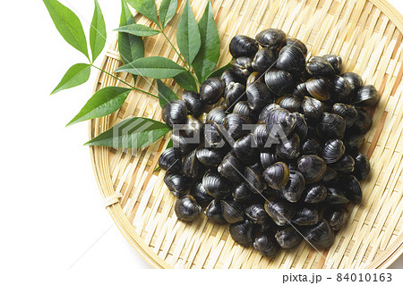 しじみ21 84010163