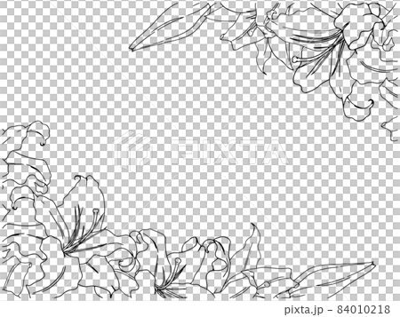 ゆりとバラのフレーム(線画) 84010218