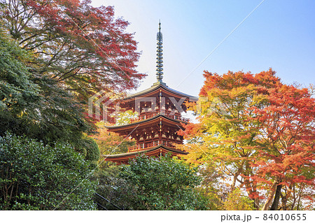 紅葉真っ盛りの岡寺三重塔ともみじ手水 紅葉真っ盛りの岡寺三重塔ともみじ手水 84010655