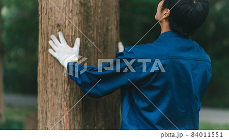 森林の仕事 森林の仕事 84011551