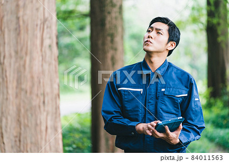 森林の仕事 森林の仕事 84011563