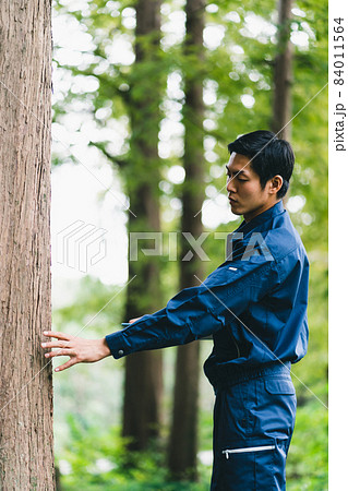 森林の仕事 84011564