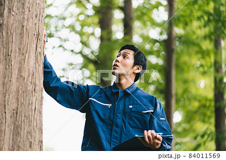 森林の仕事 森林の仕事 84011569