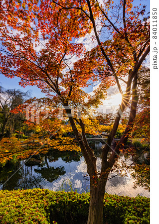 Beautiful Kokoen Garden during autumn foliage season in Himeji city, Japan Beautiful Kokoen Garden during autumn foliage season in Himeji city, Japan 84011850