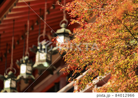 談山神社の紅葉 84012966