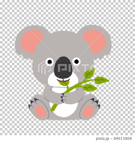 コアラのイラスト 84013809