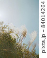 秋にさよならを告げるススキ 84014264