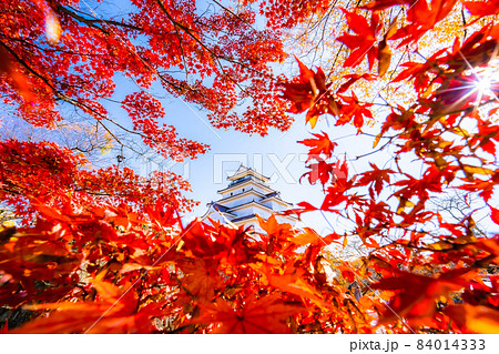 福島県会津若松市鶴ヶ城紅葉額縁構図 84014333