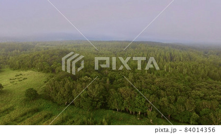 知床の森〜ドローンで上空から空撮（北海道斜里郡斜里町） 84014356
