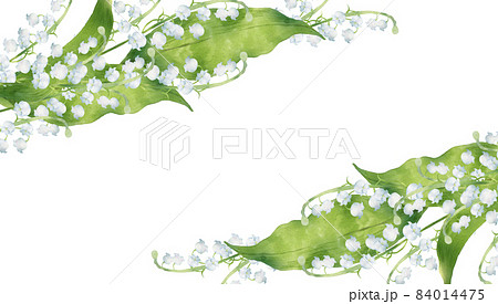 スズランの花のフレーム 84014475