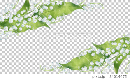 スズランの花のフレーム 84014475