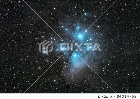 プレアデス星団（M45） 84014768