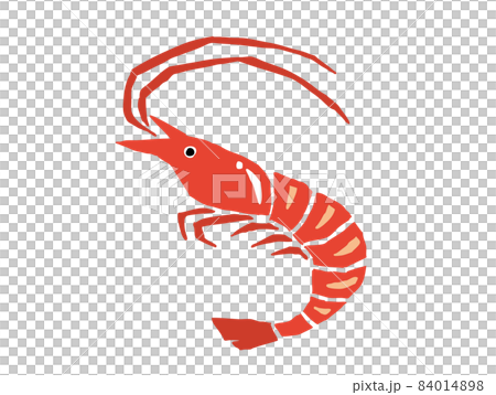Shrimp retro vector illustration 84014898