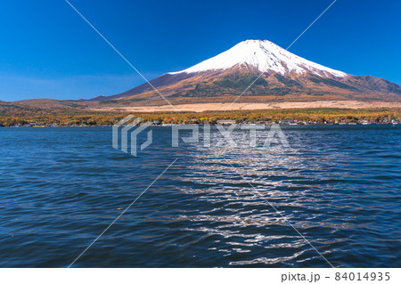 《山梨県》秋の富士山・山中湖湖畔 《山梨県》秋の富士山・山中湖湖畔 84014935