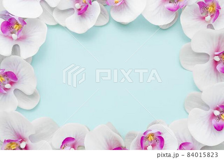 flat lay pink orchids frame. High quality beautiful photo concept 84015823