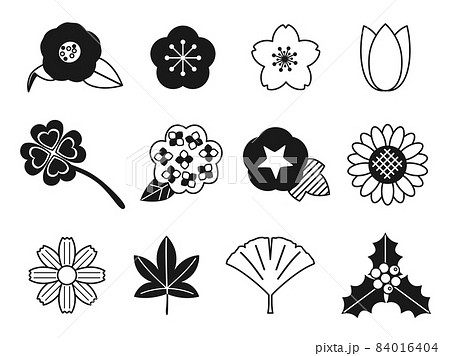 モノクロの月別植物のイラストセット 文字無しバージョン のイラスト素材