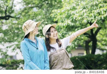 トレッキング・登山する女性たち トレッキング・登山する女性たち 84016406