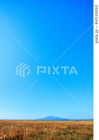 旅で見た快晴の利尻島　礼文島 84016693