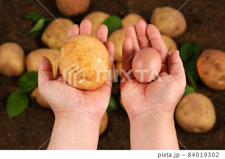 新鮮 人 人間 84019302