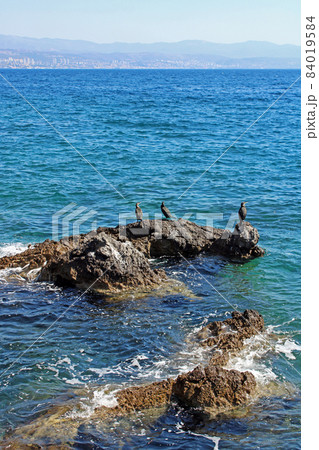 View from Icici's seaside promenade, the beach with birds, Adriatic coast, Kvarner bay, city details, Croatia 84019584