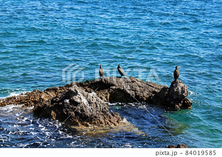 View from Icici's seaside promenade, the beach with birds, Adriatic coast, Kvarner bay, city details, Croatia 84019585