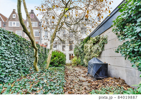 The courtyard of the house with different plants 84019887