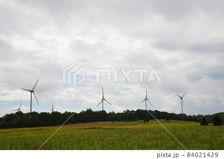 布引風の高原へ行きました　＃61 84021429