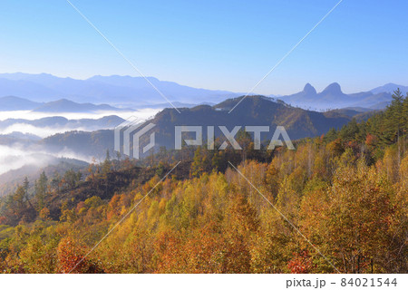 全北 鎮安郡 マイサン 84021544