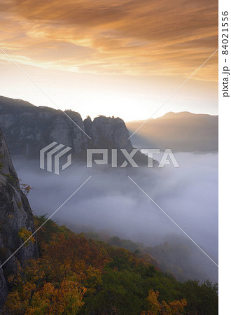 慶北 青松郡 周王山 84021556