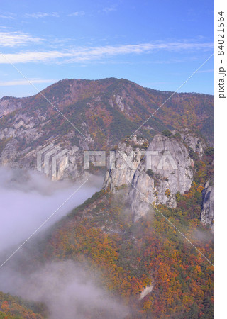 慶北 青松郡 周王山 84021564