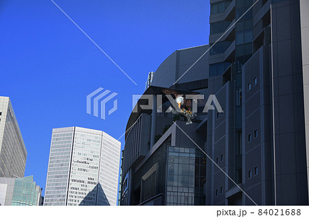 西梅田ビル街とタカの多重露出撮影 西梅田ビル街とタカの多重露出撮影 84021688
