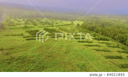 知床の森〜ドローンで上空から空撮（北海道斜里郡斜里町） 84021893