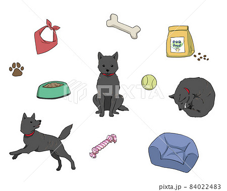 ペット用品と愛犬_甲斐犬 ペット用品と愛犬_甲斐犬 84022483