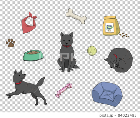 ペット用品と愛犬_甲斐犬 ペット用品と愛犬_甲斐犬 84022483