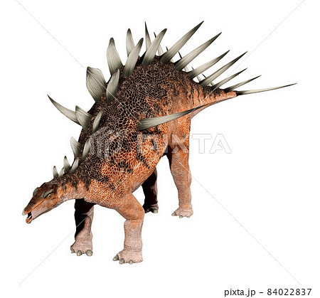 ケントロサウルス☆Kentrosaurus 84022837