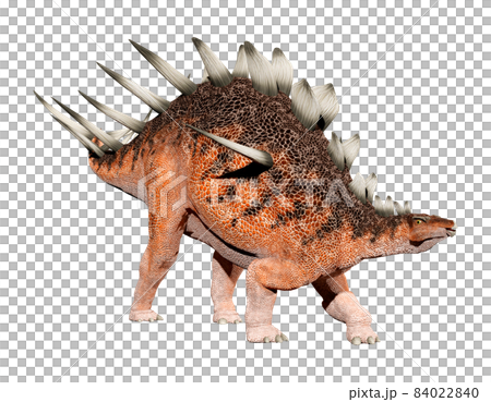 ケントロサウルス☆Kentrosaurus 84022840