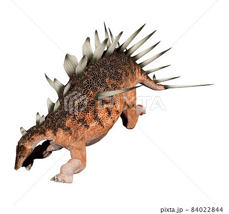 ケントロサウルス☆Kentrosaurus 84022844