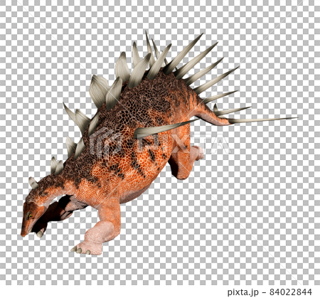 ケントロサウルス☆Kentrosaurus 84022844
