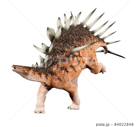 ケントロサウルス☆Kentrosaurus 84022848