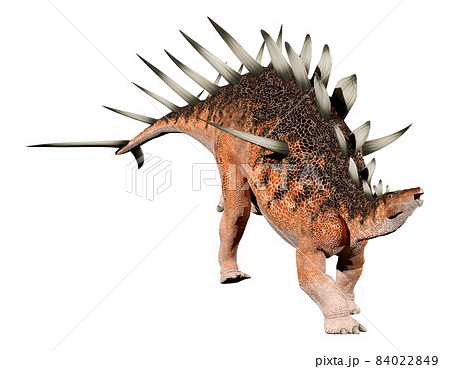 ケントロサウルス☆Kentrosaurus 84022849