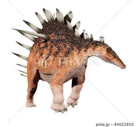 ケントロサウルス☆Kentrosaurus 84022850