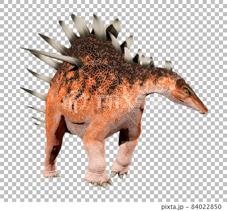 ケントロサウルス☆Kentrosaurus 84022850