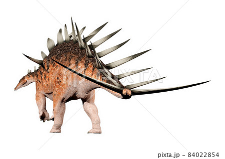 ケントロサウルス☆Kentrosaurus ケントロサウルス☆Kentrosaurus 84022854