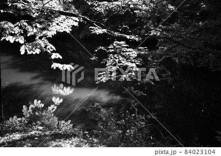 奥地の池 84023104