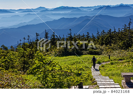 夏の苗場山・神楽ノ峰稜線を行く登山者と谷川岳・尾瀬方面の山並み 84023168